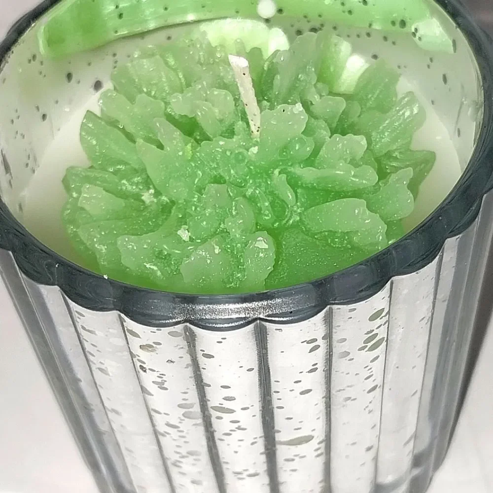 Hand crafted Enchanted Forrest limited edition candle 8oz